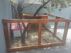 Rabbit enclosure Midstream