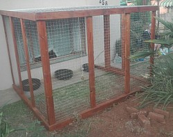 Catio Booysens Pretoria