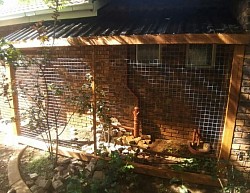 Catio Edenvale