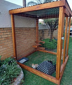 Catio Boksburg