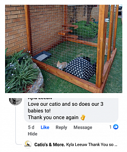 Review Catio's & More