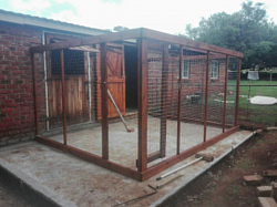 Catio Tierpoort