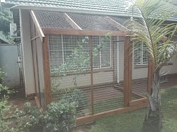 Catio Sinoville