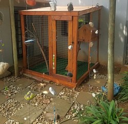 Catio Northcliff