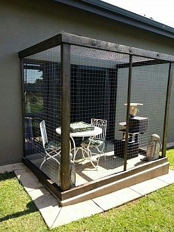 Catio's Roodeplaat