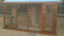 Catio Moreleta