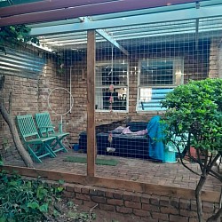 Catio centurion
