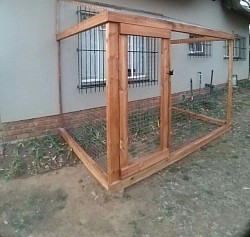 Catio Benoni