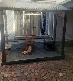 Catio Silverton