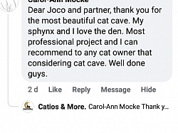 Catio Moreleta Review