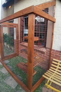 Catio Equestria