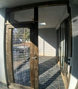 Catio Edenvale