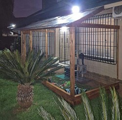 Catio Florida