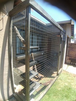 Catio Alberton