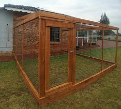 Catio Benoni