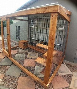 Catio Villieria