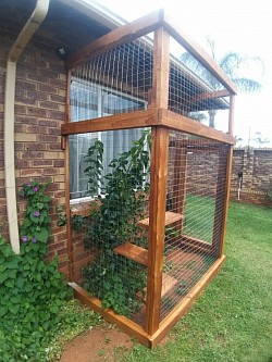 Catio Rietvalleirand