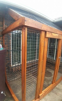 Catio Centurion