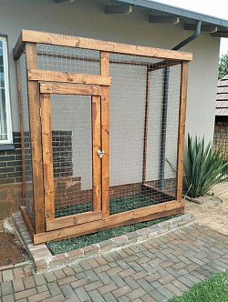 Catio Silverton