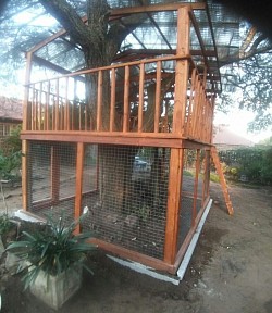 Catio, kid playhouse, window box and walkways Witbank