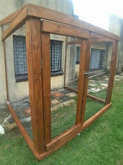 Catio Springs