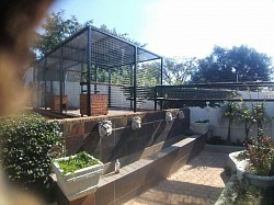Catio and iguana enclosure Krugersdorp