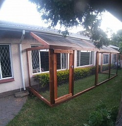 Catio Edenvale