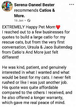 Review for Catios & More