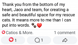 Review for Catios & More