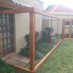 Catio Equestria