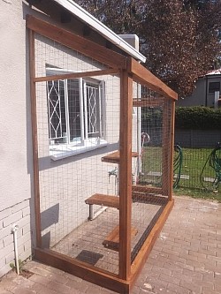Catio Wilgeheuwel