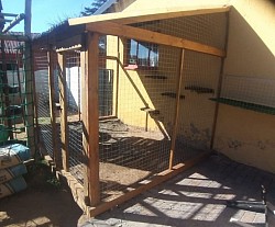 Catio Robertsham
