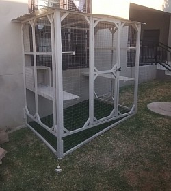 Custom catio Alberton
