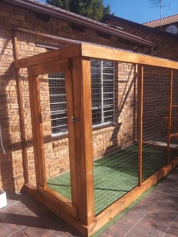 Catio Sundowner