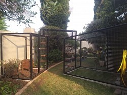Catios and walkway Benoni