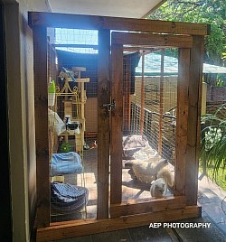 DIY Catio Buffelspoort