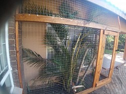 Catio Brits