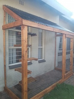 Catio Buccleau