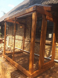 Catio Centurion