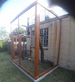 Catio & Window box Northwold