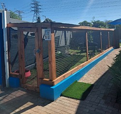 Guinea pigs enclosure Northriding