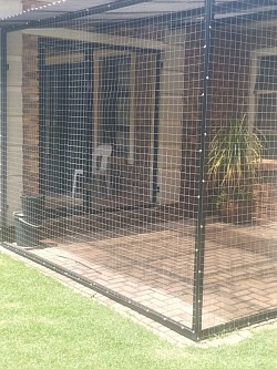 Catio Benoni